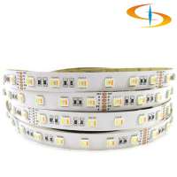 Dreamy RGBWW strips 5 colors in 1 chip CCT adjustable led strip for theme park